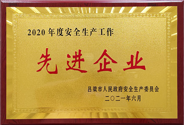 2020年度先進(jìn)企業(yè)