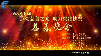 華鑫獻(xiàn)力“點(diǎn)亮慈善之光·助力精準(zhǔn)扶貧”慈善晚會(圖2)