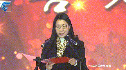 華鑫獻(xiàn)力“點(diǎn)亮慈善之光·助力精準(zhǔn)扶貧”慈善晚會(圖7)