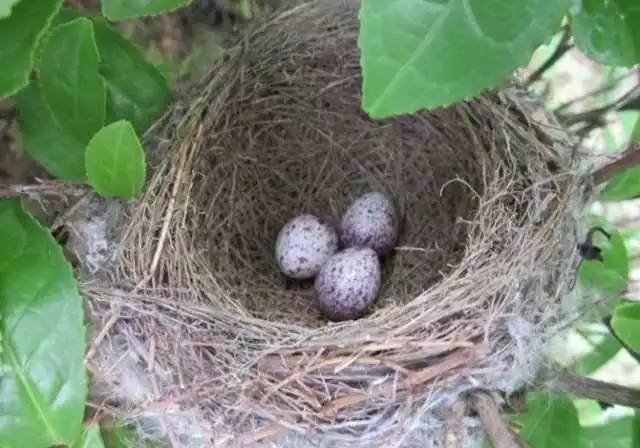 分享愛(ài)心，眾享溫情——華鑫集團(tuán)工會(huì)開(kāi)展“六一獻(xiàn)愛(ài)心”活動(dòng)(圖32)